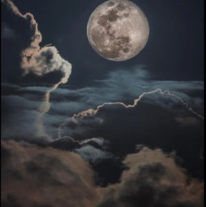 Meet your Posher, Moon